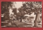 K1264 Port De Rolle Et Jardin Anglais.Platanes.Sepia. Cachet 1922. Perrochet 5524 - Rolle