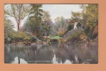 Ireland Irlande Du Nord Belfast ( Botanic Gardens) Carte Postale Postcard - Antrim