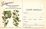 Romania 1964 Grapes,Vineyard Manna,rare Stationery Unused PC.. - Vins & Alcools