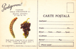 Romania 1964 Grapes,Vineyard Manna,rare Stationery Unused PC. - Vini E Alcolici