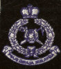 Malaysia Police Patch Rare Item - Ecussons Tissu