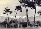 Carrara - Panorama - Viaggiata - Carrara