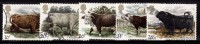 Great Britain Used 1984 Set Of 5, British Cattle, Farm Animals, Cow - Koeien