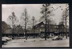 RB 812 - 1959 Real Photo Postcard Volkswagen Beetle Car Outside Hotel Bloemink Apeldoorn Netherlands 20c Rate To UK - Apeldoorn