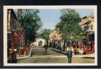 RB 812 - Early Postcard Setif Algeria - Rue Sillegue & Gendarme - France Interest - Sétif