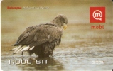 TARJETA DE ESLOVENIA DE UN AGUILA   (BIRD-EAGLE-PAJARO) - Eagles & Birds Of Prey