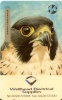 TARJETA DE REINO UNIDO  DE UN HALCON   (BIRD-EAGLE-PAJARO)  NUEVA-MINT  MERCURY - Adler & Greifvögel