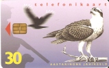 TARJETA DE ESTONIA  DE UN AGUILA PESCADORA  (BIRD-EAGLE-PAJARO) - Eagles & Birds Of Prey