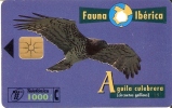 TARJETA DE ESPAÑA DE UN AGUILA CULEBRERA  (BIRD-EAGLE-PAJARO) - Eagles & Birds Of Prey