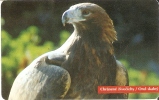 TARJETA DE ESLOVAQUIA DE UN AGUILA (EAGLE-BIRD-PAJARO) - Aquile & Rapaci Diurni