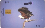 TARJETA DE ZIMBAWE DE UN AGUILA PESCADORA (EAGLE-BIRD-PAJARO) - Adler & Greifvögel