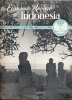 Tijdschrift The Economic Review Of Indonesia N° 2 -1951 - Scienze