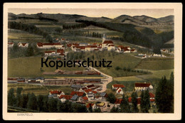 ALTE POSTKARTE BIRKFELD STEIERMARK PANORAMA Austria Österreich Bahnhof Zug Waggons Station Gare Ansichtskarte Postcard - Birkfeld