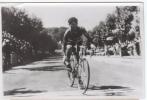 P 531 -TDF - 1952 - 16 ém étape Avignon - Perpignan  - Decaux Remporte L' étape _ - Wielrennen