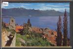 DISTRICT DE LAVAUX ///  ST SAPHORIN - TB - Saint-Saphorin