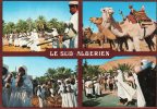 Algérie >(Ghardaïa) Sud Algérien- METLILI -  Fête Du Méhari-Mars 1983 Multi Vues   *PRIX FIXE - Ghardaia