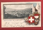 N309 Gruss Aus Olten,Litho,Gemse,Edelweiss,corde,piolet.Pioneer,Cachet 1905 - Olten