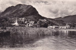 LAC D ANNECY HAUTE SAVOIE BORD DU LAC DUINGT - Duingt