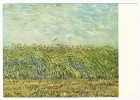 Postcard - Vincent Van Gogh    (V 6500) - Van Gogh, Vincent