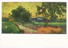 Postcard - Vincent Van Gogh    (V 6504) - Van Gogh, Vincent