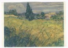 Postcard - Vincent Van Gogh    (V 6513) - Van Gogh, Vincent