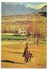 Postcard - Pakistan, Polo    (V 6547) - Pakistán