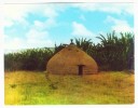 Postcard - Ethiopia   (V 6602) - Etiopia