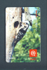 SLOVENIA  -  Remote Mobitel Bird Phonecard As Scan - Slovenia