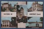 45 LOIRET - CP COLORISEE MULTIVUES SOUVENIR DE COURTENAY - COMBIER CIM - Courtenay