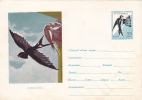 HIRONDELLE SWALOW ,1961,COVER STATIONERY ENTIER POSTAL VERY RARE RRR! UNUSED ROMANIA. - Swallows