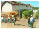 Postcard - Guatemala    (V 6728) - Guatemala