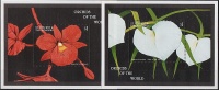 St VINCENT // 1998 Flore, Orchidées // 2 BF NEUFS *** (MNH) - St.Vincent (1979-...)