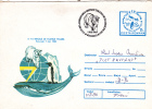 BEARS OURS,PINGOUINS,WHALE,1988 RARE CANCELL ON COVER STATIONERY ROMANIA. - Bären