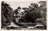 ST BREVIN Villas Dans Les Pins 1948 - Saint-Brevin-les-Pins