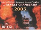 CALENDRIER DES POMPIERS DE  GEVREY CHAMBERTIN 2003 - Big : 2001-...