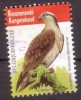 Belgie 2011 Mi Nr 4137 Visarend, Fishhawk: Aangetekend, Registered - Gebruikt