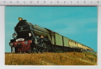 Flying Scotsman (1979) ° Steam Locomotive / Locomotive à Vapeur / Dampflokomotive - Treinen