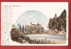 N482 Gruss Aus Burgdorf Berthoud. Litho. Pionner, Gelaufen In 1901.Feldpost - Berthoud