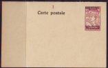 KINGDOM  S. H. S. - BOSNIA - P 5 - 10 / 10 H  - MINT  - 1918 - EXELENT - Postal Stationery