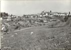 Regensberg - Frühlingsaufnahme             Ca. 1950 - Regensberg