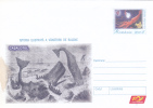 HUNTING,WHALES BALEINS 1 STATIONERY COVERS ENTIER POSTAL UNUSED 2004,ROMANIA. - Baleines
