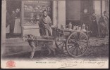 CPA - (Belgique) Bruxelles - Laitieres TOP (traineau A Chien) (obl.1905) - Old Professions