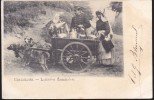 CPA - (Belgique) Bruxelles - Laitieres Flamandes (attelage De Chien) (obl.1903) - Old Professions