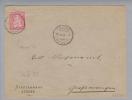 Schweiz 1882-02-16 Brief Mit Zu#46 Faserpapier Stehende Helvetia - Briefe U. Dokumente