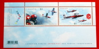 CANADA  CANADIAN FORCES SNOWBIRDS SHEET MNH** - Blokken & Velletjes