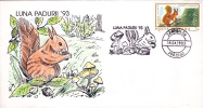 SQUIRREL,MUSHROOMS 1993 STAMPS OBLITERATION CONCORDANTE GILAU ROMANIA. - Rongeurs