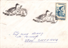 Bird "Cygnus Olor":CANCELL 1993 COVER, Romania. - Cisnes