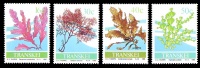 (004) Transkei   Plants / Fleurs / Blumen / Bloemen / Flora   ** / Mnh  Michel 214-17 - Transkei