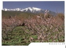 ROUSSILLON 66 -  Massif Du Canigou - 24.5.1994 - R-1 - Roussillon