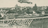 CPA 51 : ESTERNAY  Vue Générale Souvenir Avec Avion éditeur Vve Autréau       A VOIR  !!!!!! - Esternay